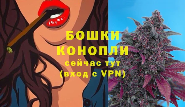 бутират Богородицк