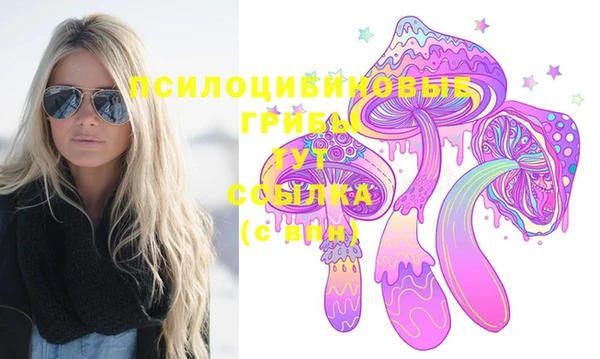 метамфетамин Белокуриха